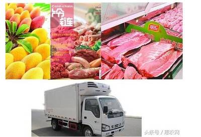 掘金|现在做农业,这6大机会你必须要知道