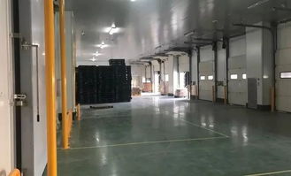 中冷物流丨顺势而为 不断创新,竖立产品服务标准化新标杆