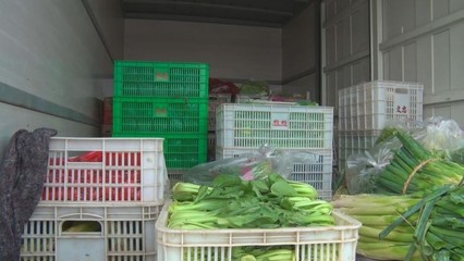 直击现场 菏泽市成武县首家综合性农产品物流园试营业