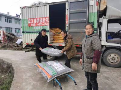 麻江县供销社“五措施”全力以赴保春耕