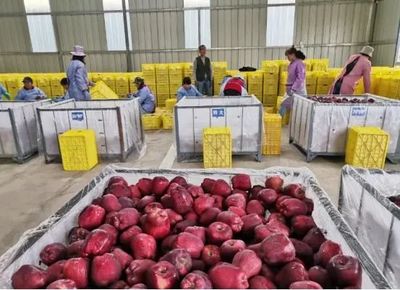 大数据背景下农产品冷链物流模式的缺点分析