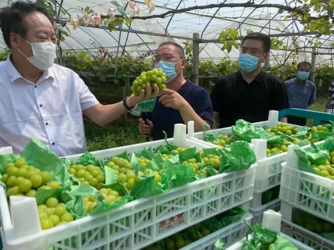 把传统业务打造成独特优势——农产品流通看江苏供销模式