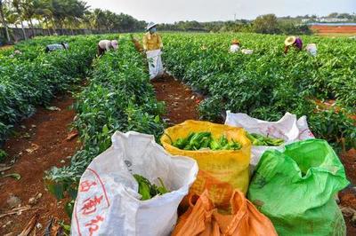 琼山做好复工复产服务保障 为企业送上'及时雨'产品流通服务