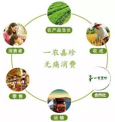 助农产销 构建高效流通服务，解决农民销售痛点