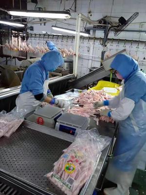 山东德州武城县36家企业有序复工复产 产业链流通服务全面恢复