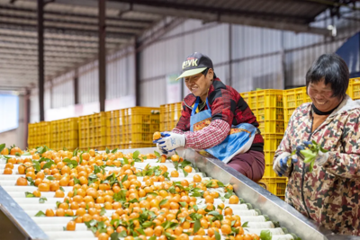 这10类人请注意！这些“新”举措与你的产品流通服务息息相关