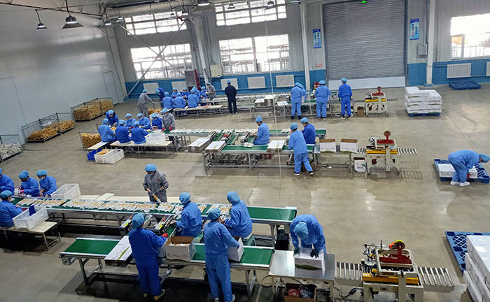 吉林省加快农业龙头企业恢复生产 畅通产品流通服务