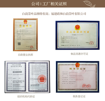 白韵和初 品味政和白茶中的珍藏之选——陈寿眉茶与白牡丹